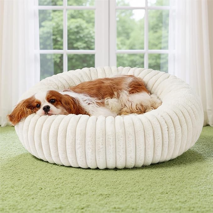 product-679-679